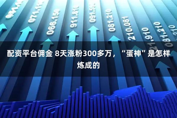 配资平台佣金 8天涨粉300多万，“蛋神”是怎样炼成的