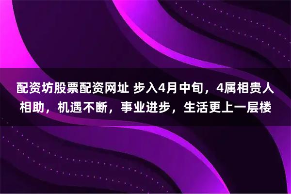 配资坊股票配资网址 步入4月中旬,4属相贵人相助,机遇不断,事业进步,生活更上一层楼