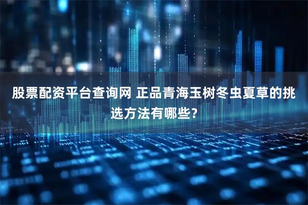 股票配资平台查询网 正品青海玉树冬虫夏草的挑选方法有哪些？